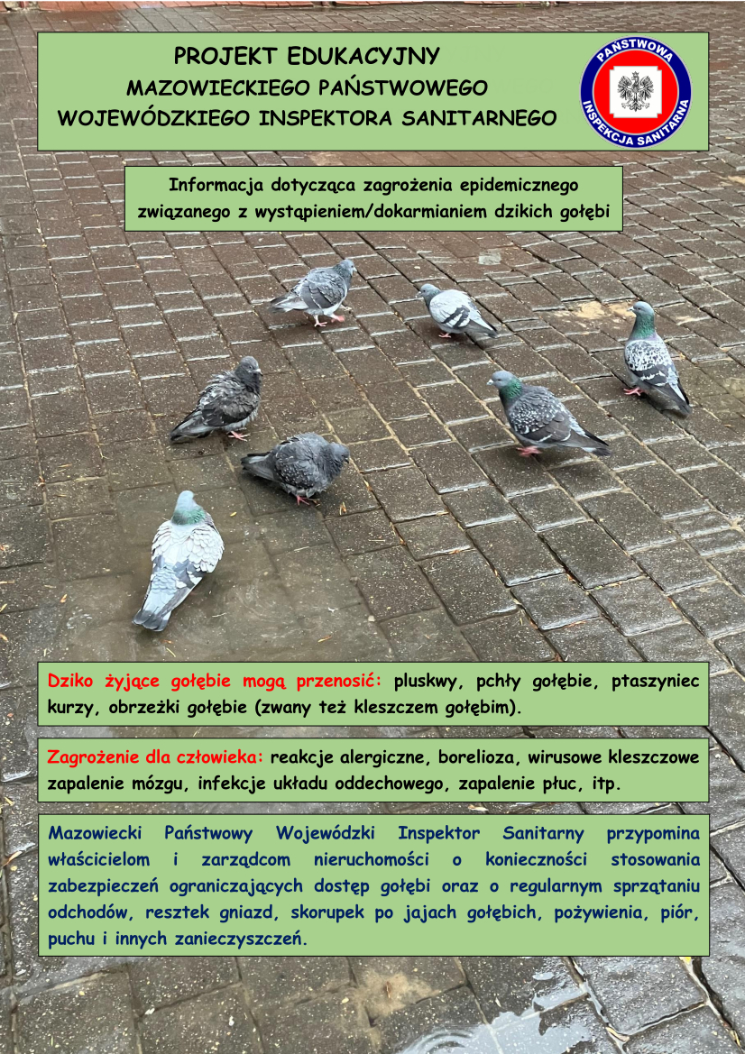 Projekt Informacyjny MPWIS gołębie